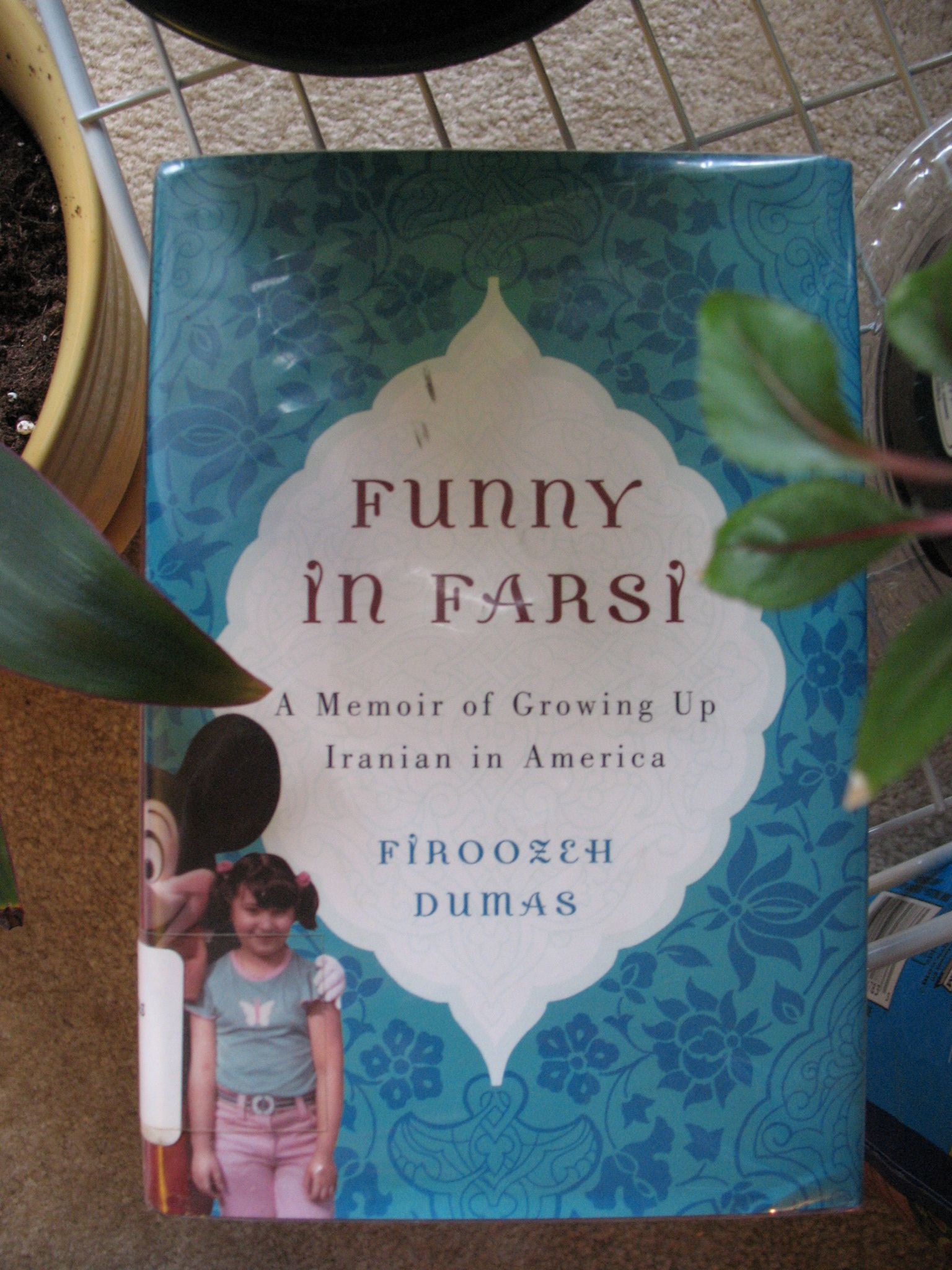 Funny in Farsi by Firoozeh Dumas  A Good Stopping Point